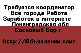 Требуется координатор - Все города Работа » Заработок в интернете   . Ленинградская обл.,Сосновый Бор г.